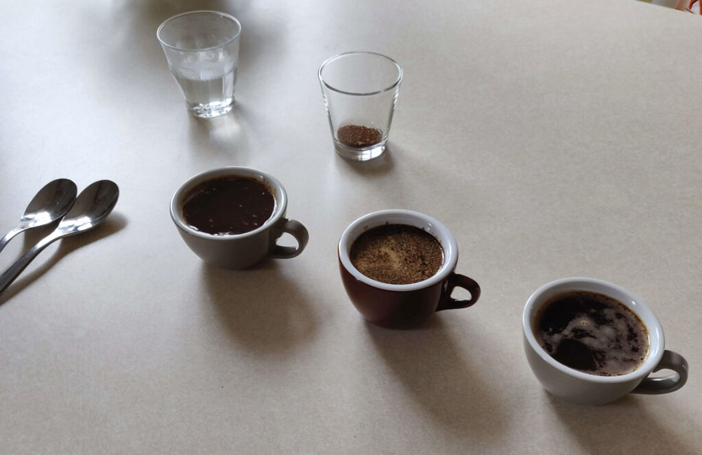 three coffee mugs set out for a cupping